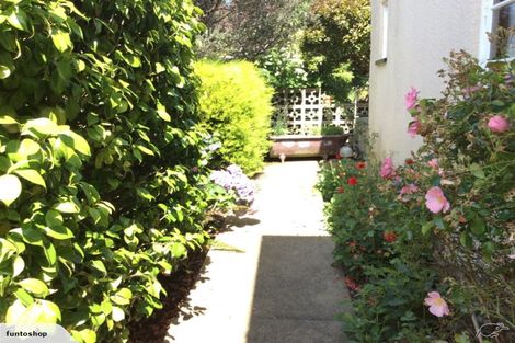 Photo of property in 79 Ann Street, Kaikorai, Dunedin, 9010