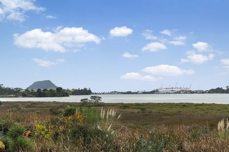 Photo of property in 1 Blenheim Place, Judea, 3110