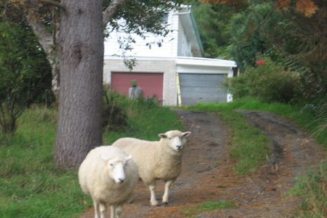 Photo of property in 232 Moores Valley Road, Wainuiomata, 5373