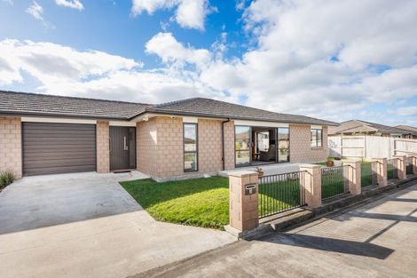 Photo of property in 3 Towler Lane, Feilding, 4702