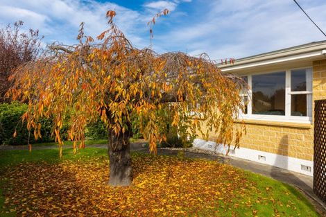 Photo of property in 23 Warwick Street, Mayfield, Blenheim, 7201