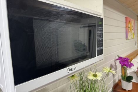 Photo of property in 381a Mount Albert Road, Mount Roskill, Auckland, 1041