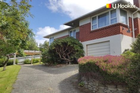 Photo of property in 29 Saint Albans Street, Bradford, Dunedin, 9011