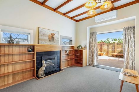 Photo of property in 42 Limbrick Street, Terrace End, Palmerston North, 4410