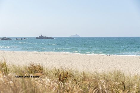 Photo of property in 362d Maunganui Road, Mount Maunganui, 3116