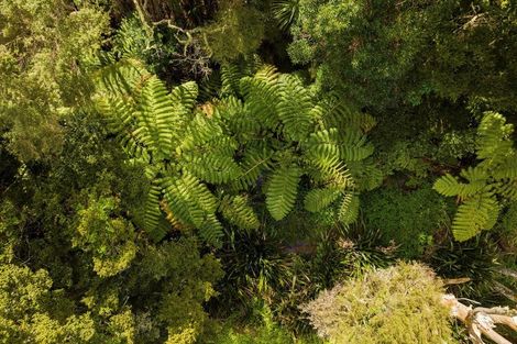 Photo of property in 20b Taylor Road, Waimauku, 0882