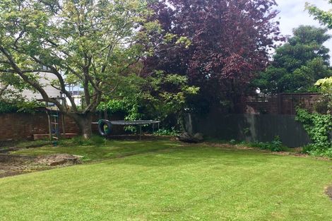 Photo of property in 29 Norfolk Street, Saint Clair, Dunedin, 9012