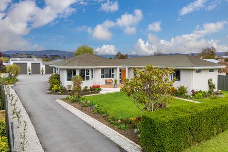 Photo of property in 98 Ventry Street, Alexandra, 9320