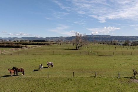 Photo of property in 84 Grieve Road, Otakiri, Whakatane, 3193