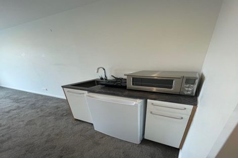 Photo of property in Vsp South, 301/168 Victoria Street, Te Aro, Wellington, 6011