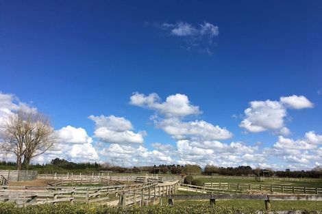 Photo of property in 49 Trentham Road, Matangi, Hamilton, 3284