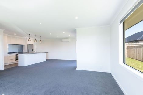 Photo of property in 16 Tarn Close, Richmond, 7020