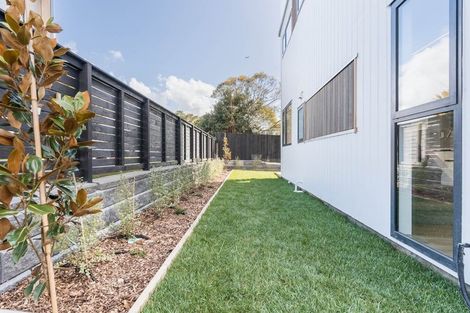 Photo of property in 21a Hazel Avenue, Mount Roskill, Auckland, 1041