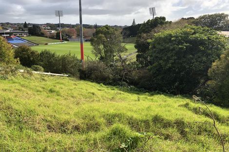 Photo of property in 20a East Street, Terrace End, Palmerston North, 4410