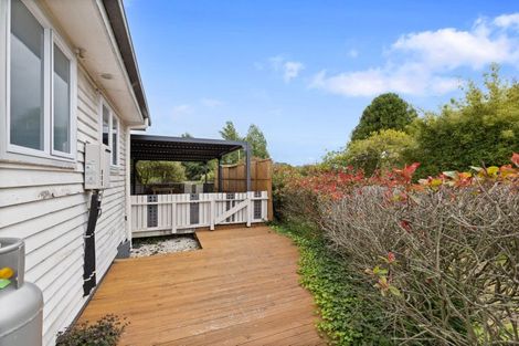 Photo of property in 113 Buckland Street, Putaruru, 3411