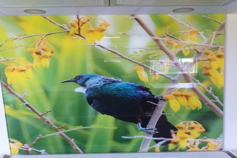 Photo of property in 42b Russell Road, Huntly, 3700