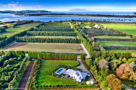 Photo of property in 140 Jones Road, Tawharanui Peninsula, Warkworth, 0986