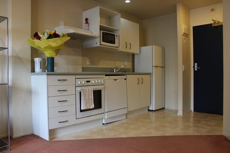 Photo of property in Courtenay Apartments, 307/120 Courtenay Place, Te Aro, Wellington, 6011