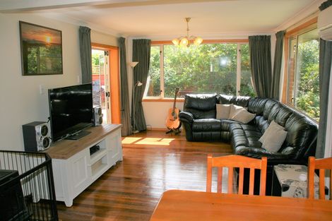 Photo of property in 93 Norwood Street, Normanby, Dunedin, 9010