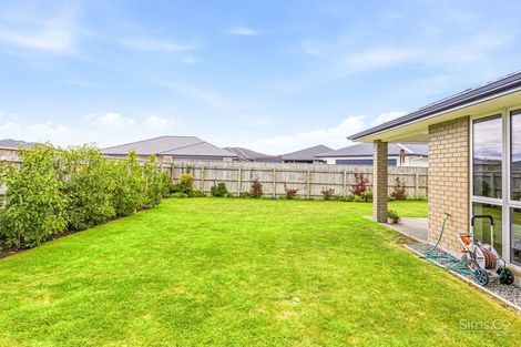 Photo of property in 63 Tawhero Street, Gonville, Whanganui, 4501