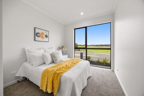 Photo of property in 35 Park Green Avenue, Rosehill, Papakura, 2113