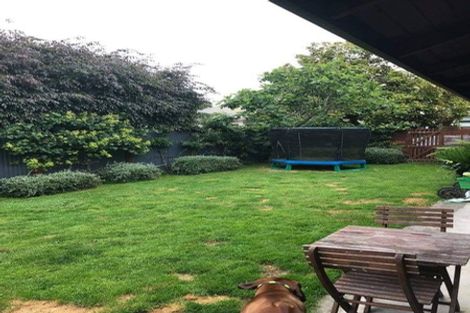 Photo of property in 128 Victoria Street, Cambridge, 3434