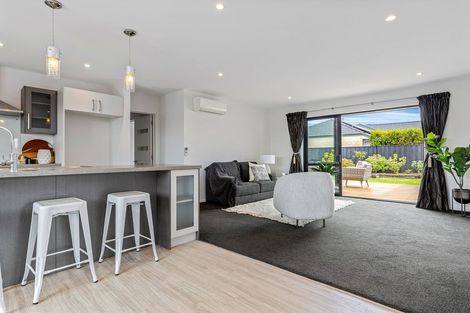 Photo of property in 23 Pegasus Main Street, Pegasus, 7612