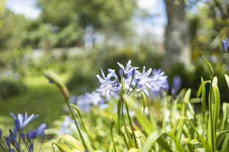 Photo of property in 496 Roto O Rangi Road, Rotoorangi, Cambridge, 3495