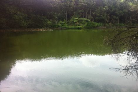 Photo of property in 174 Morrison Road, Pukekawa, Tuakau, 2696