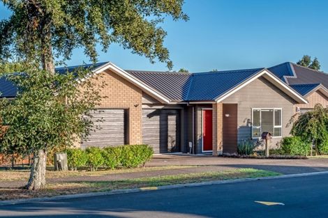 Photo of property in 115 Landing Drive, Pyes Pa, Tauranga, 3112