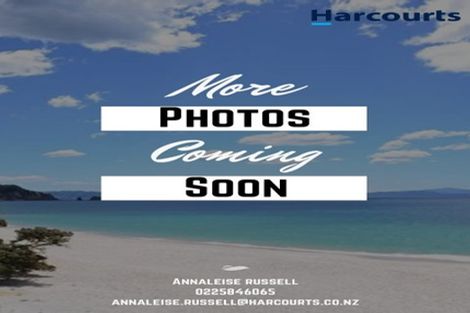 Photo of property in 180 Greenhills Drive, Coromandel, 3506