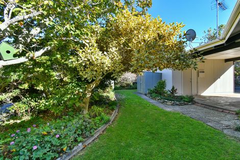 Photo of property in 350c Great South Road, Opaheke, Papakura, 2113