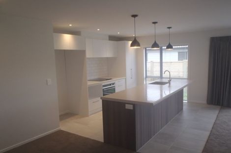Photo of property in 15 Raymond Grace Avenue, Huapai, Kumeu, 0810