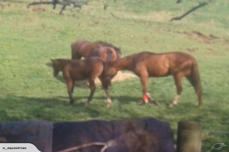 Photo of property in 276 Dansey Road, Ngongotaha Valley, Rotorua, 3072