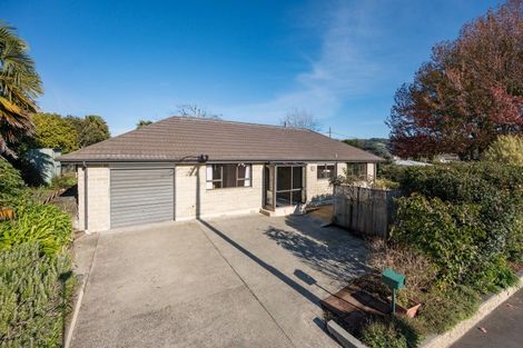 Photo of property in 30 Alfred Street, Nelson South, Nelson, 7010