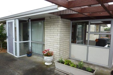 Photo of property in 176b Ruahine Street, Roslyn, Palmerston North, 4414