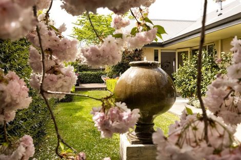 Photo of property in 6 Spring Haven Place, Springlands, Blenheim, 7201