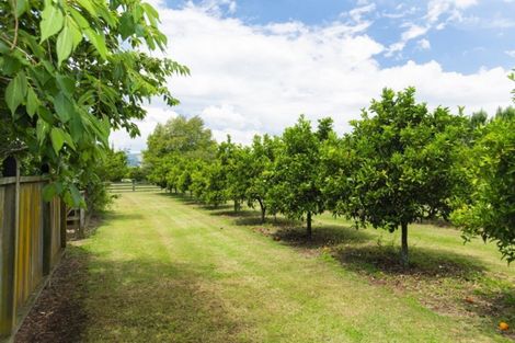 Photo of property in 862 Matawai Road, Ormond, Gisborne, 4071