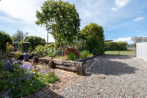 Photo of property in 9 Gillies Avenue, Taupo, 3330