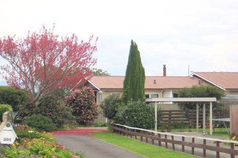Photo of property in 386 Otumoetai Road, Otumoetai, Tauranga, 3110