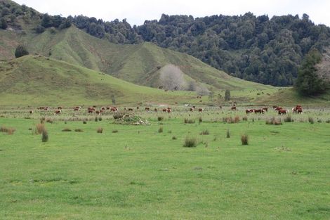 Photo of property in 6822 Ohura Road, Kohuratahi, Stratford, 4396