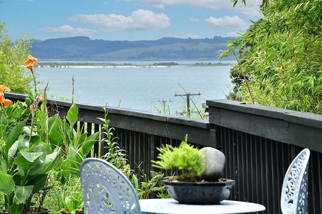 Photo of property in 16 Shelly Beach Road, Shelly Beach, Helensville, 0874