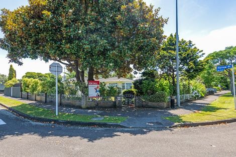 Photo of property in 113 Pahiatua Street, Hokowhitu, Palmerston North, 4410