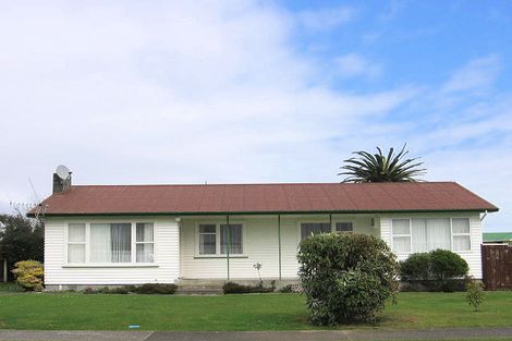 Photo of property in 15 Collingwood Street, Levin, 5510