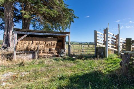 Photo of property in 126 Tutaekara Road, Pahiatua, 4987