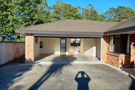 Photo of property in 18a Pirie Street, Palmerston North, 4410