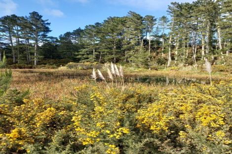 Photo of property in 496 Wilton Collieries Road, Glen Massey, 3794