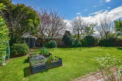 Photo of property in 91 Patterson Terrace, Halswell, Christchurch, 8025
