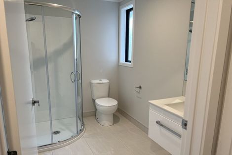 Photo of property in 55 Holland Road, Fairfield, Hamilton, 3214