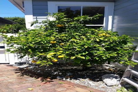 Photo of property in 11 Aorangi Terrace, Thorndon, Wellington, 6011